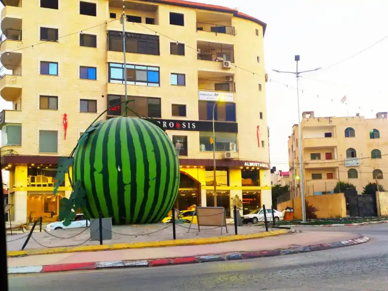 جنين