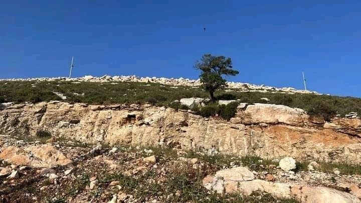 أراضي مميزة 23 نمرة في بيت أمرين — صورة 3