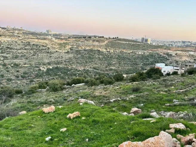 ارض مرتفعه بالقرب من الريحان — صورة 3