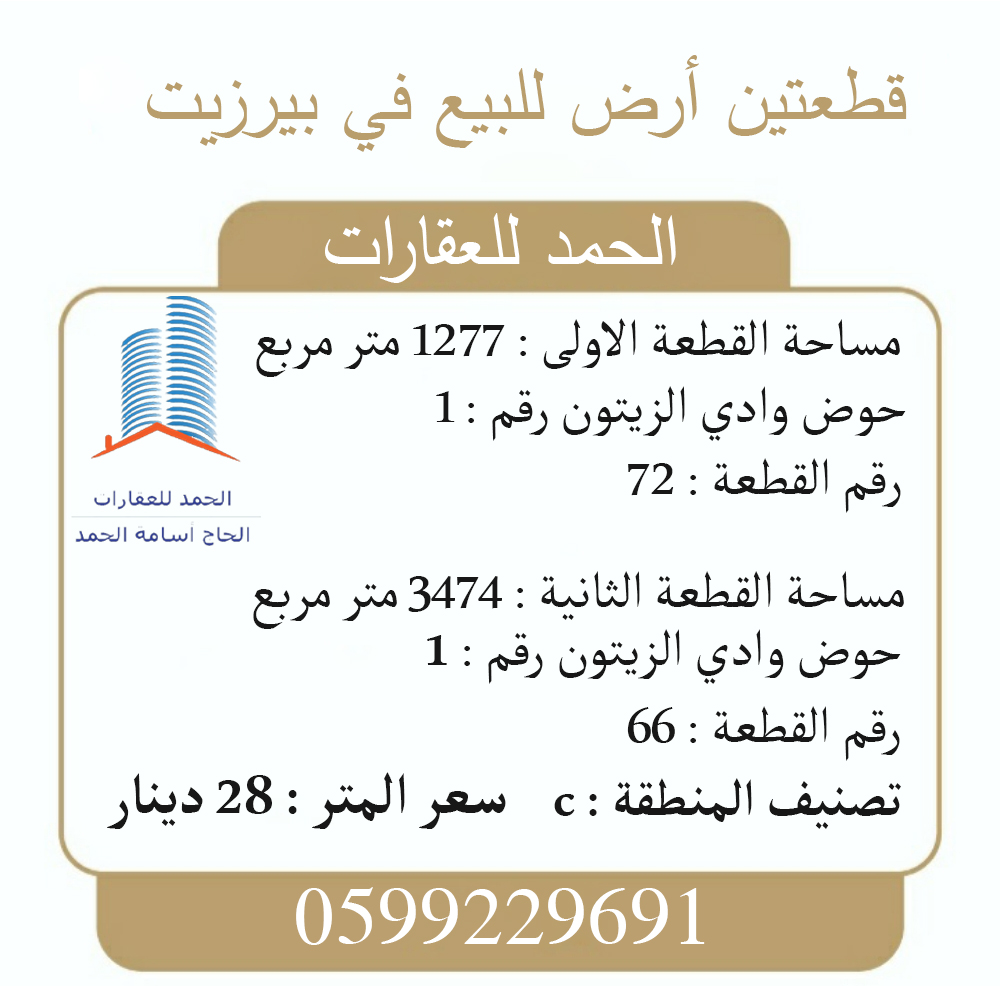 الزيتون-قطعة-6672
