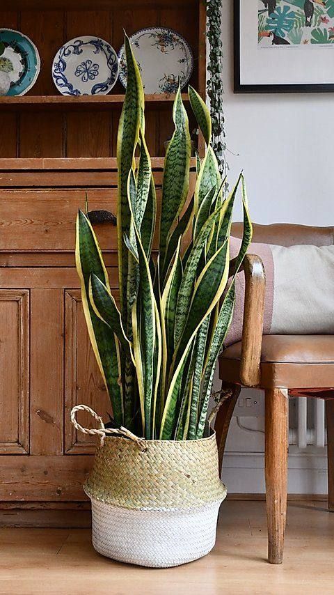 IMG_20230330_034313_982