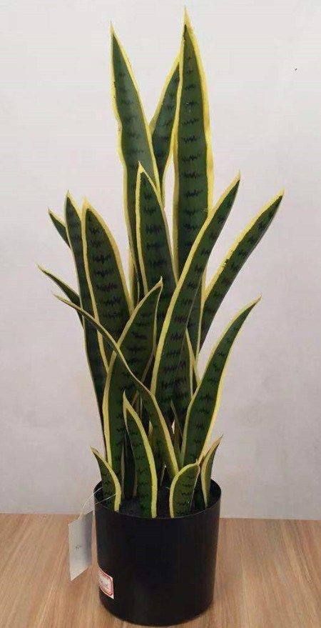 IMG_20230330_034314_925