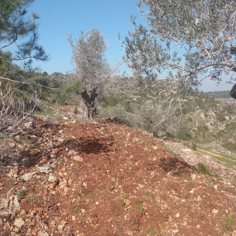 336482769_1197345984292354_985392119102395770_n