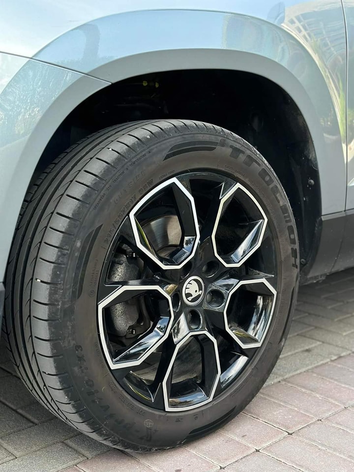 336725414_182165337983837_8529975092550488961_n