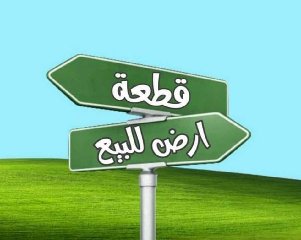 338841646_227466836472517_4157622194337758540_n