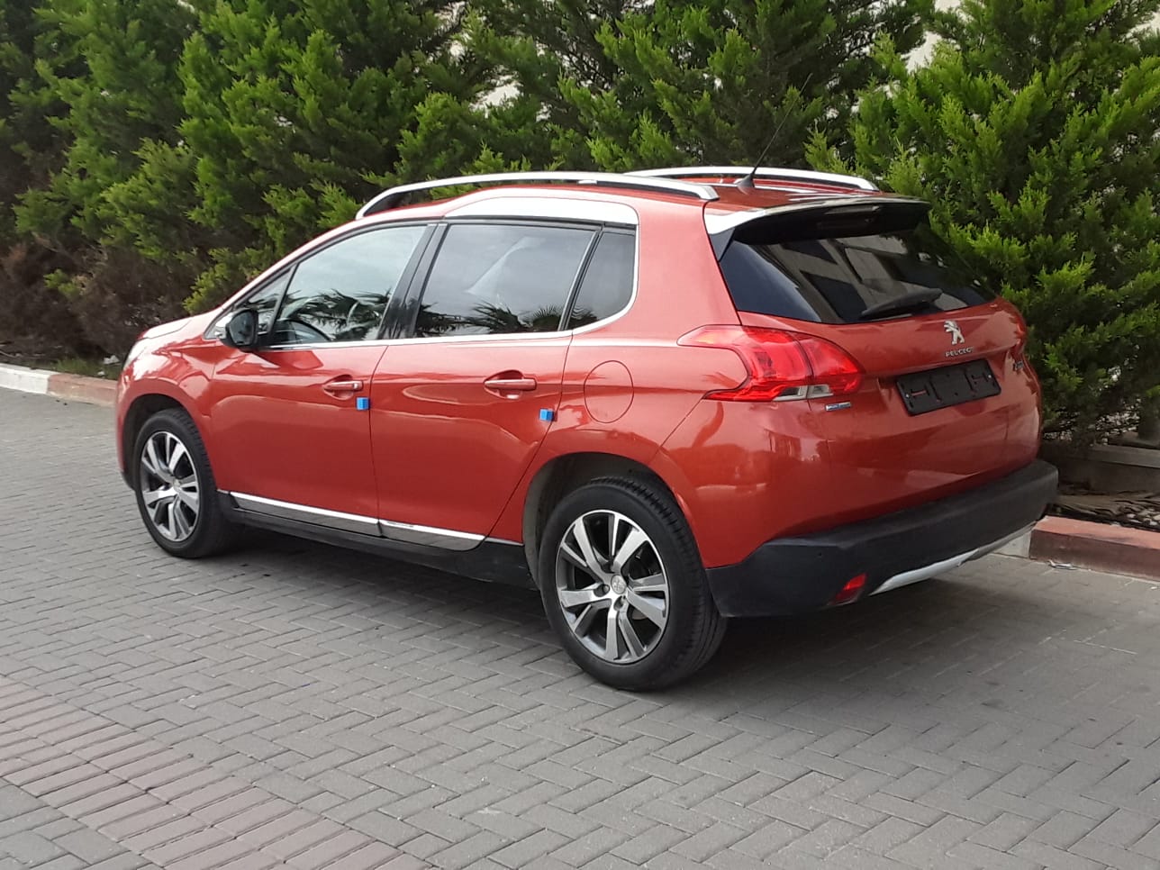 339419432_538819015099940_1017872638123365408_n