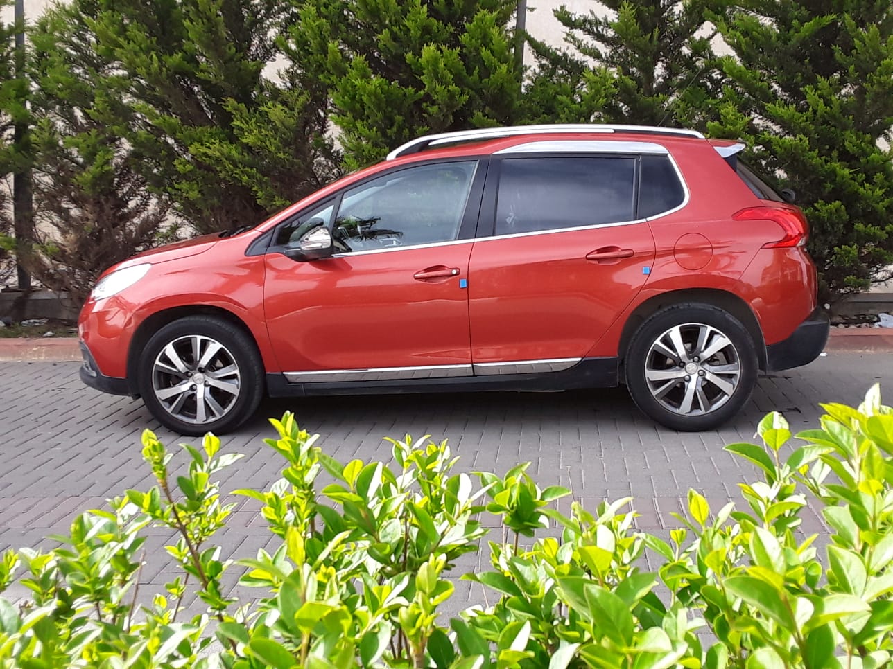 339428498_777651226887140_4820698784724652469_n