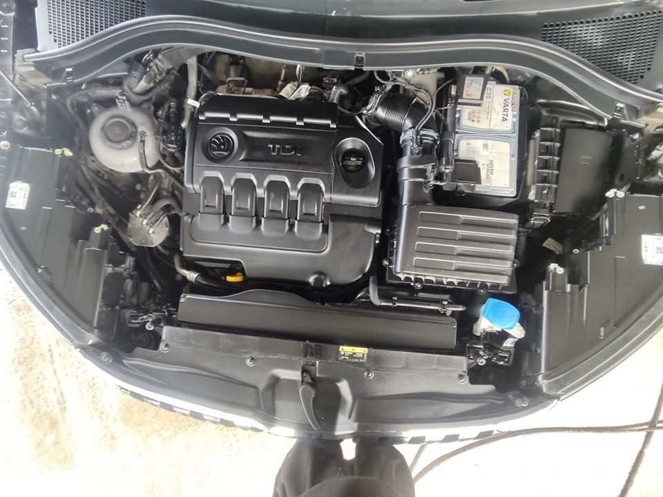 339451377_1421433058396410_2727880765268881734_n