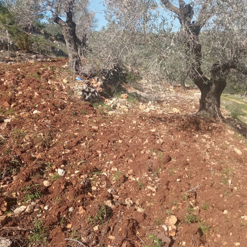 341098412_201572065943801_4121063066813879820_n