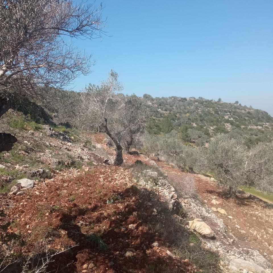 341107799_1001345067908902_7865476965348159977_n