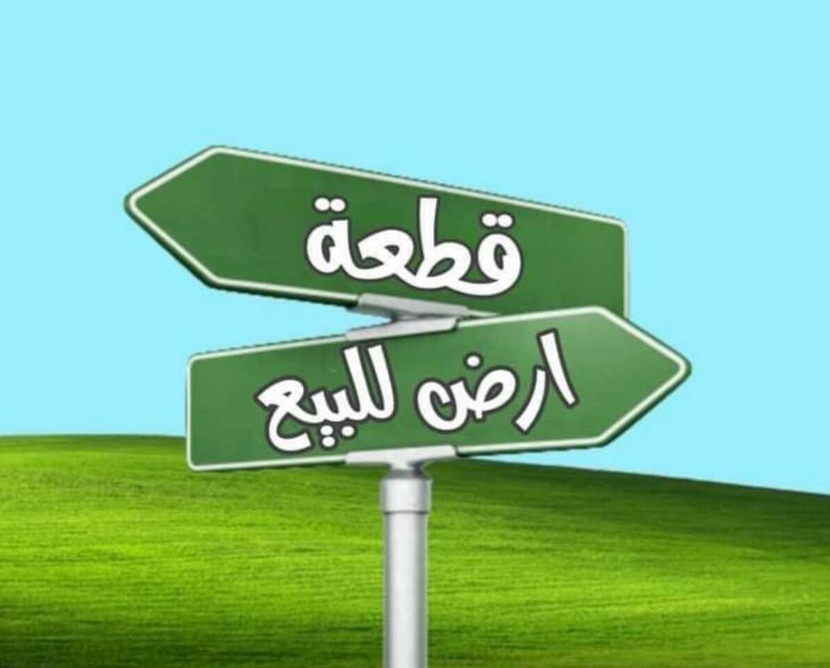 4fdeaf7a-279266264-1021371481834149-3008726317688869607-