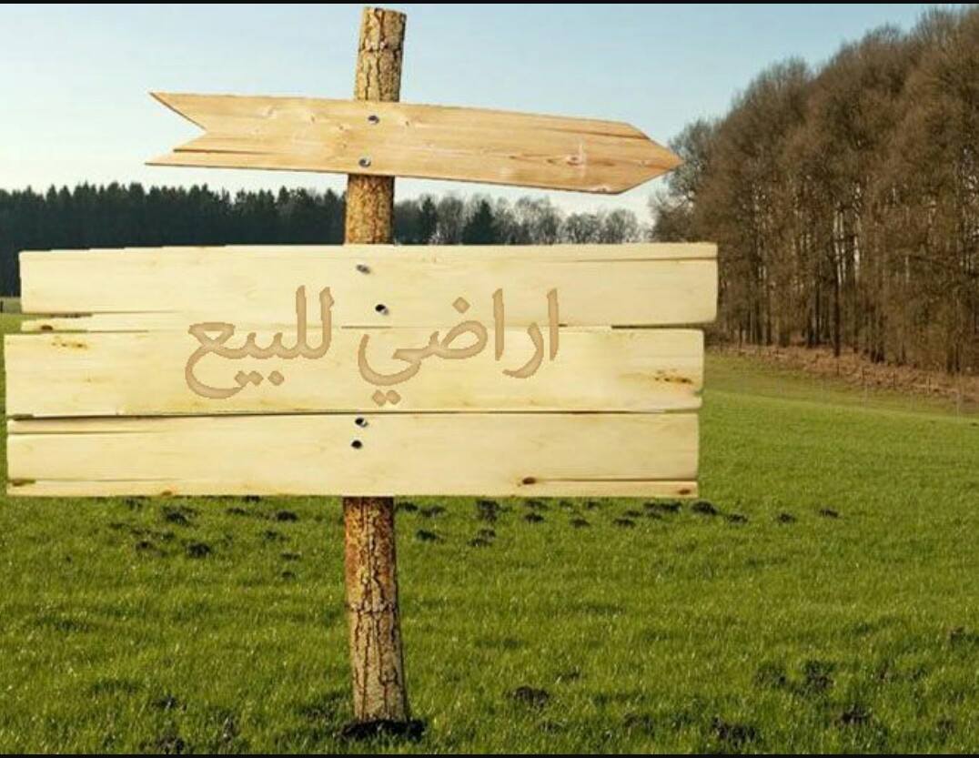 279437269_676317193582970_1301243219042037627_n