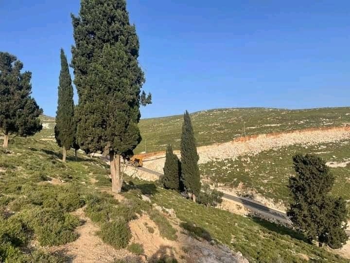 344774936_917548009507707_6791214715825628336_n