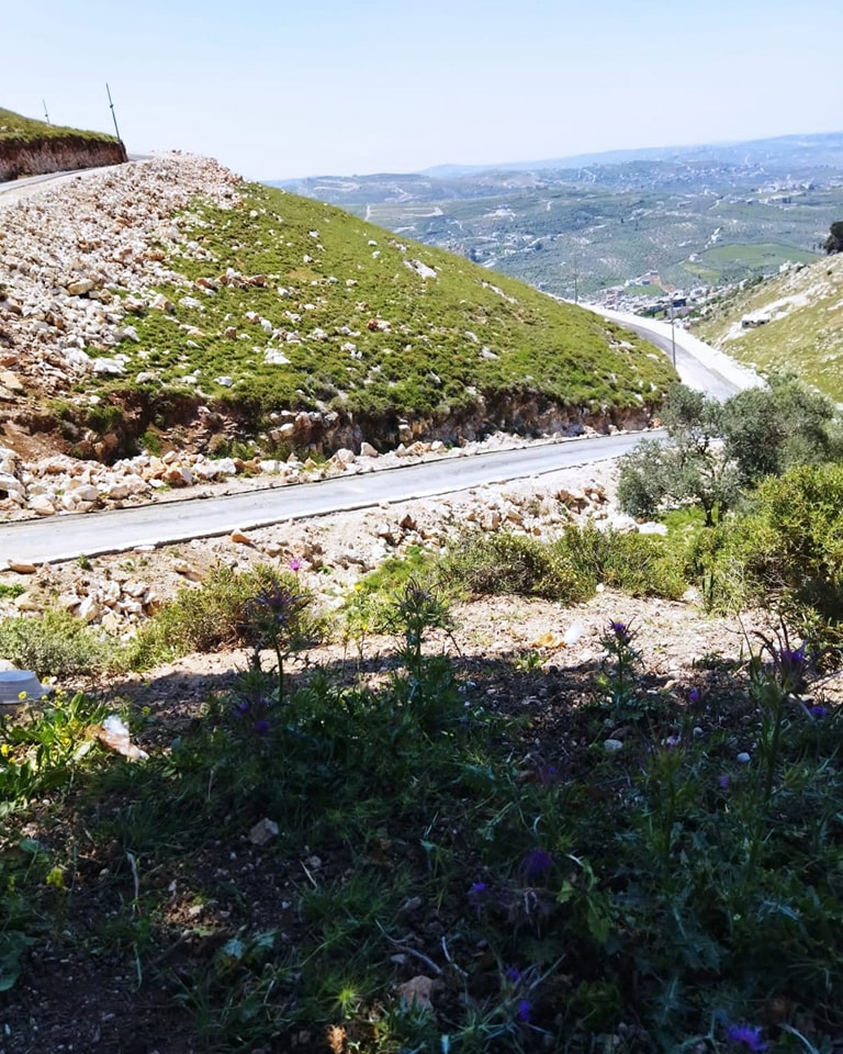 344815098_1410618759683047_4613177363222213107_n