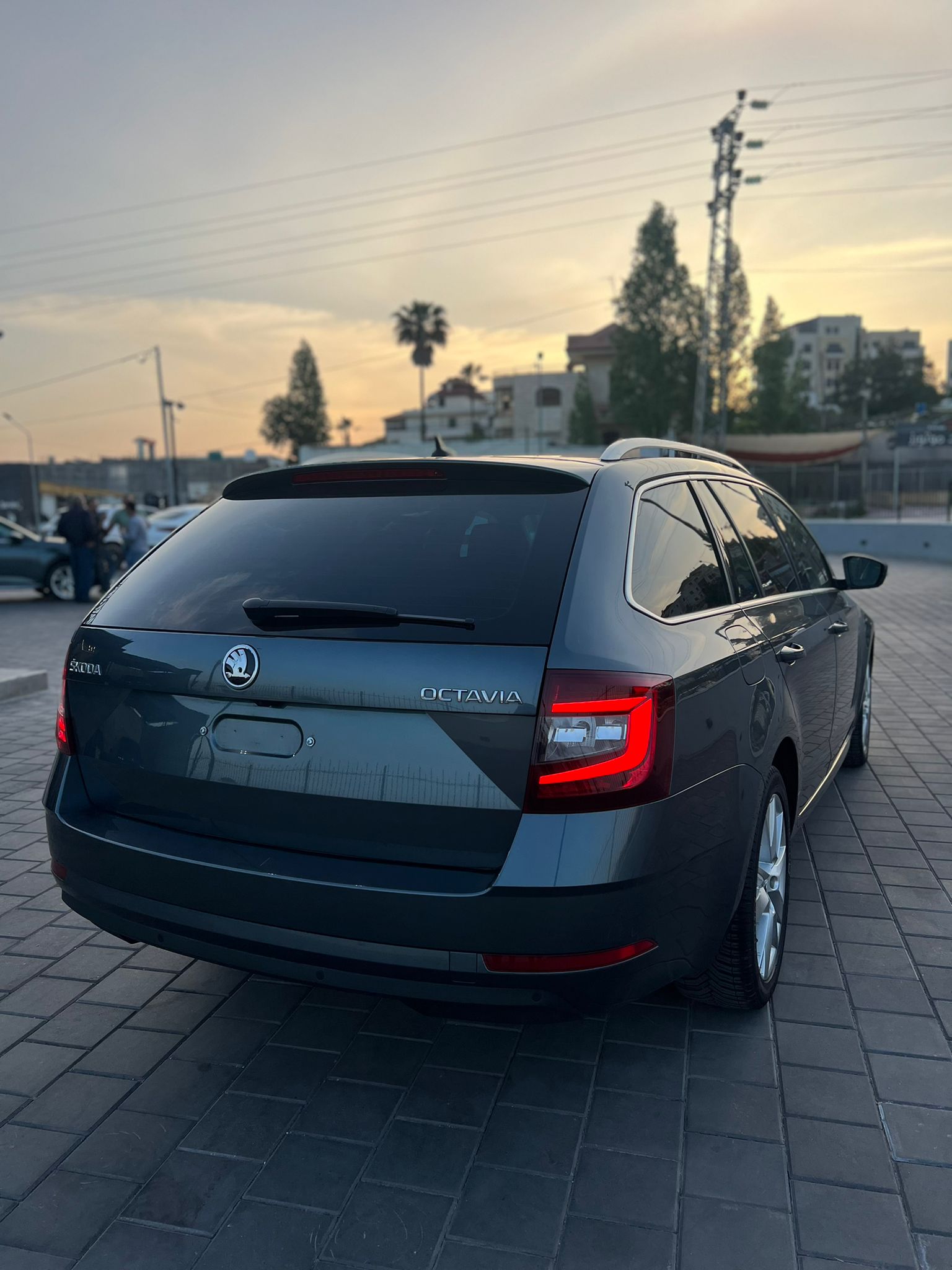 347386058_557218669903733_48681768896433160_n