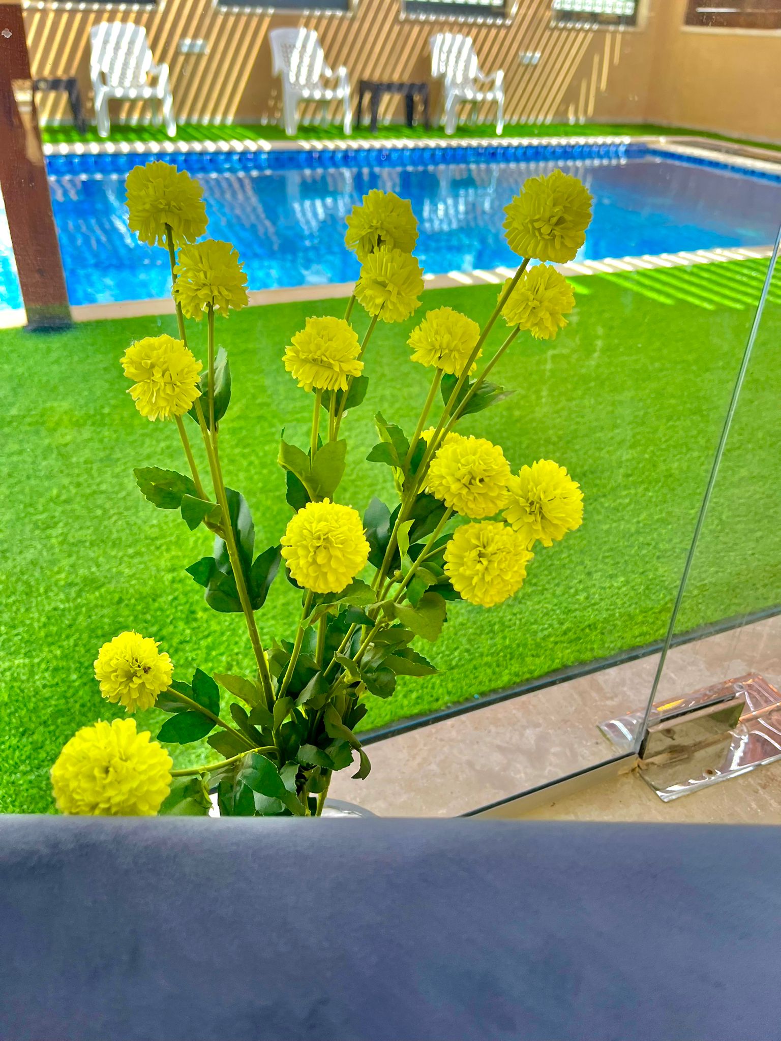 349124877_6260292424054264_8233741154619953111_n