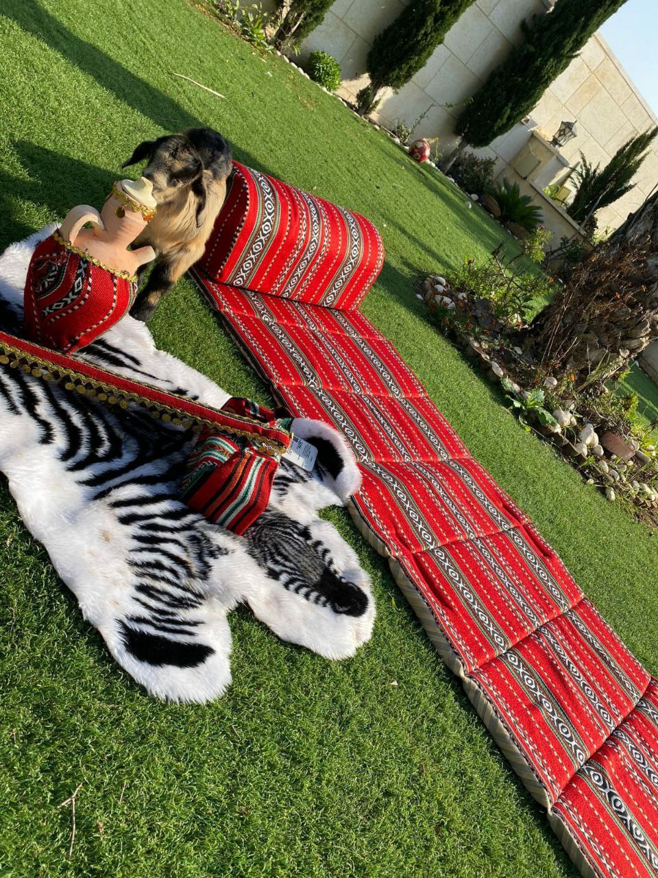 IMG_20230508_172112_801-2