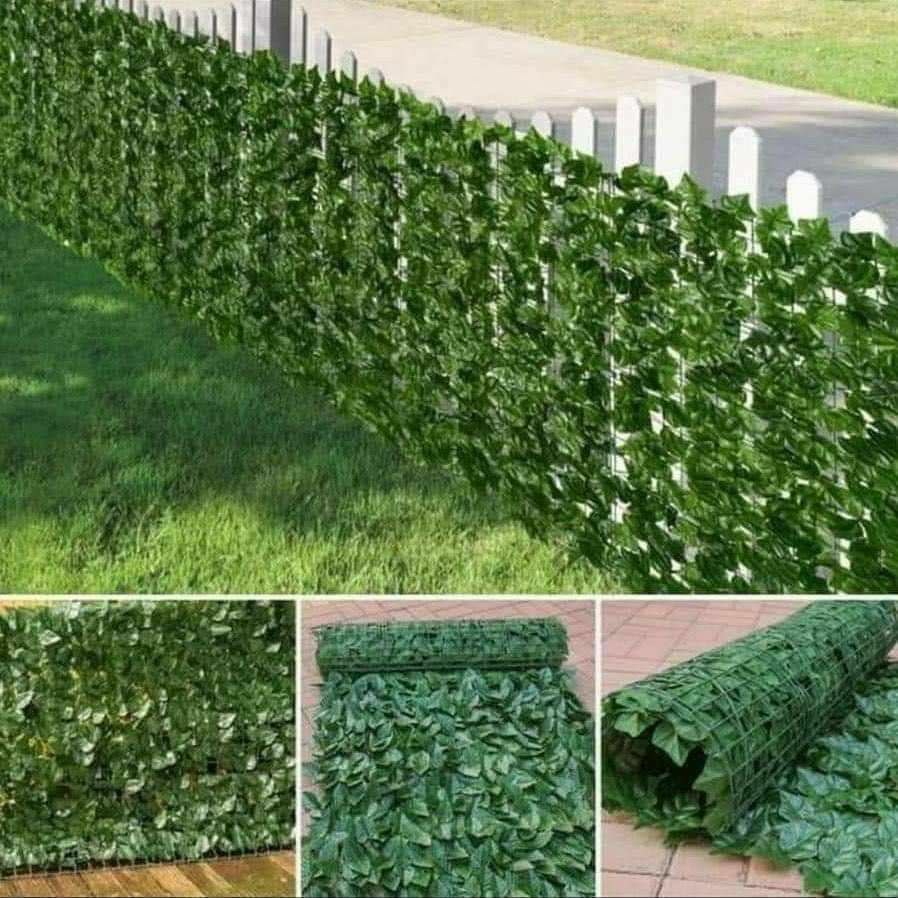 IMG_20241123_203041_400