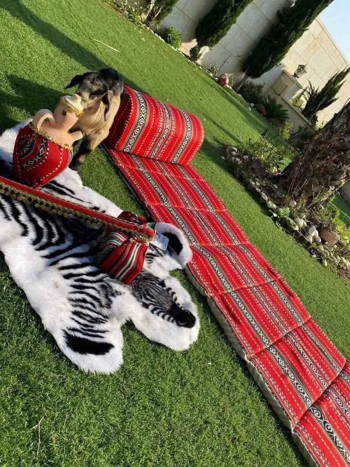 IMG_20250516_175413_912-4