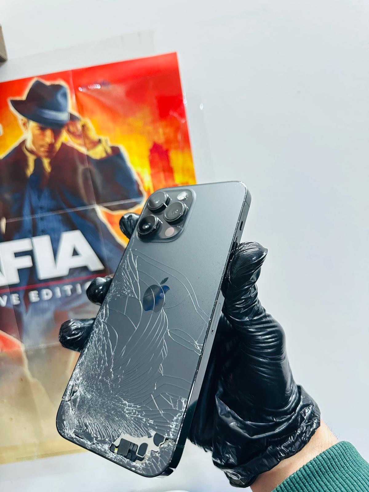 WhatsApp-Image-2025-12-28-at-113008-PM