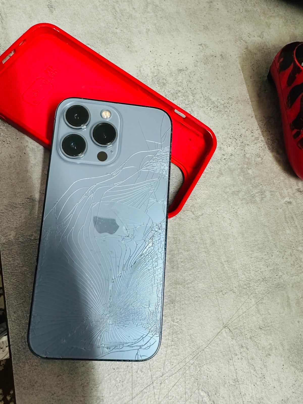 WhatsApp-Image-2026-01-27-at-112356-PM-2