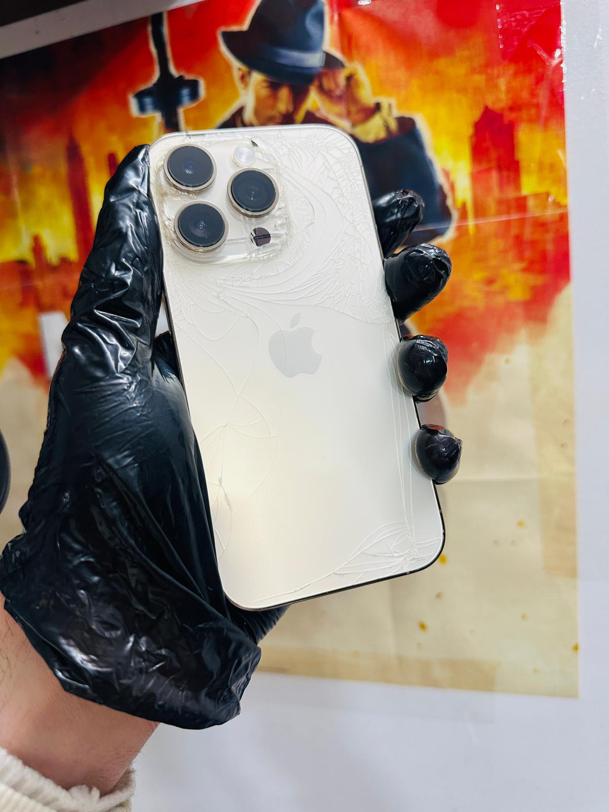 WhatsApp-Image-2026-02-03-at-120841-AM-1