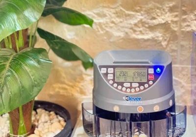 IMG_20260309_170803_503 - سوق فلسطين الإلكتروني