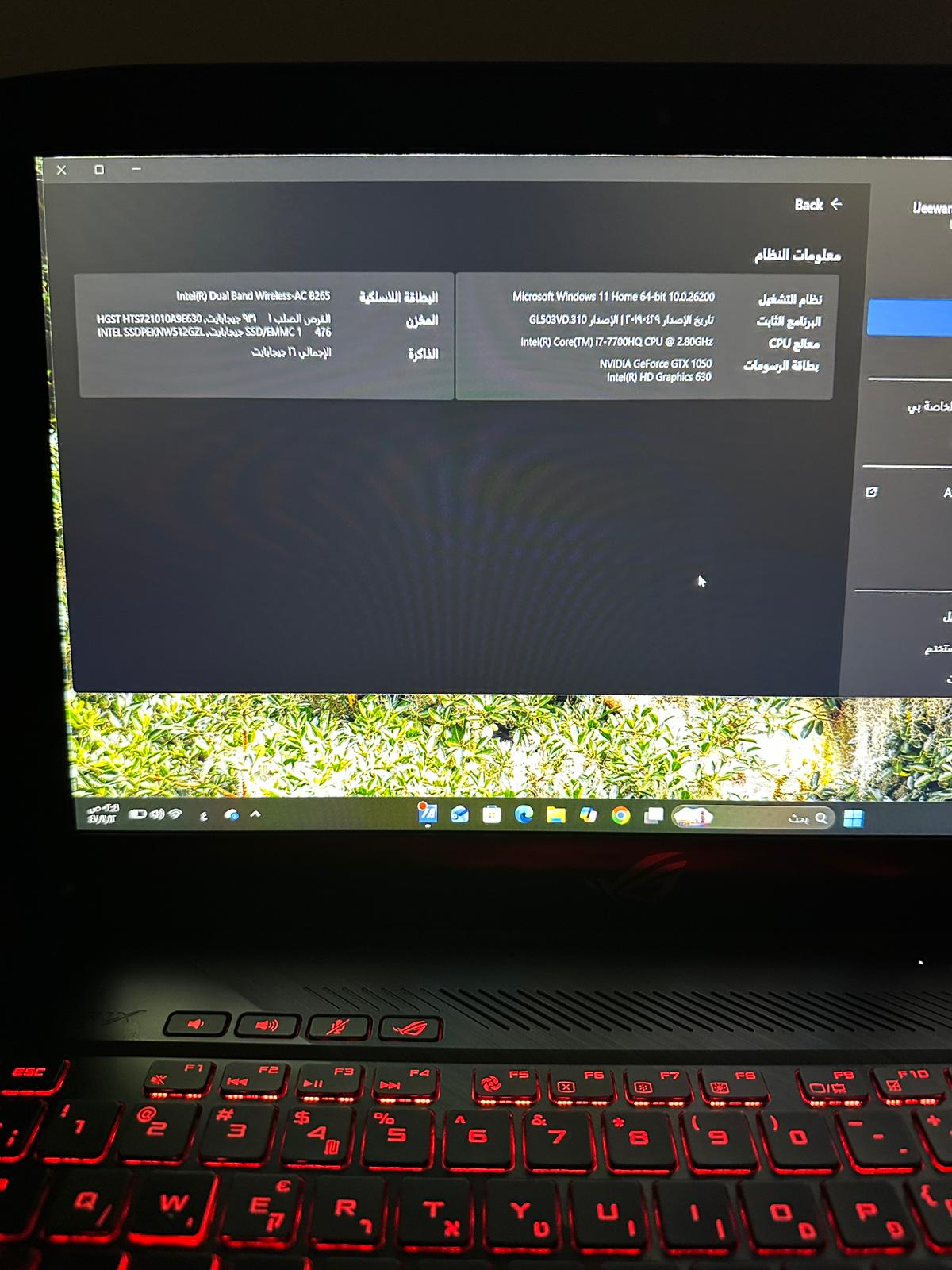 WhatsApp-Image-2026-04-29-at-2.49.11-AM-3